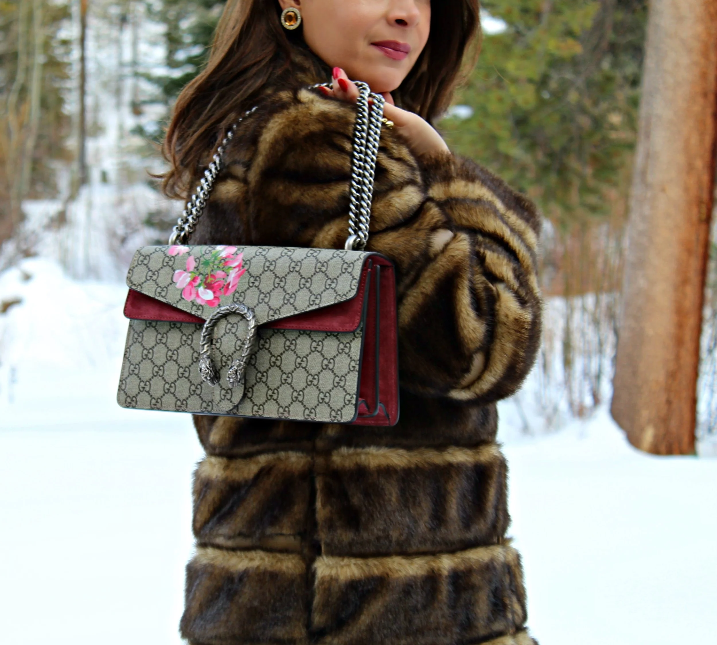 Evine 2025 gucci bags